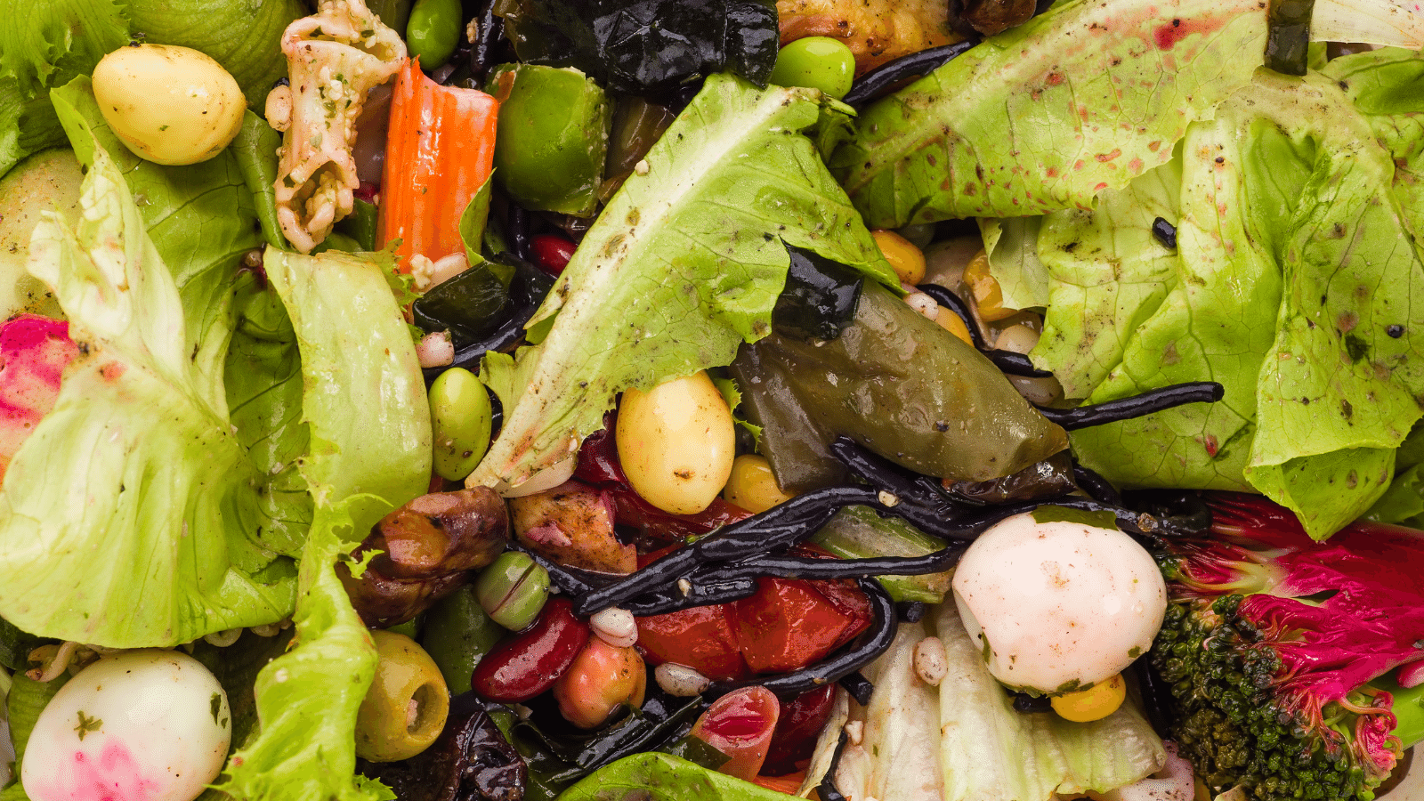 Thermo-Kool Food Waste in Foodservice header image