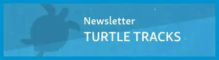View Turtle Tracks Newsletters